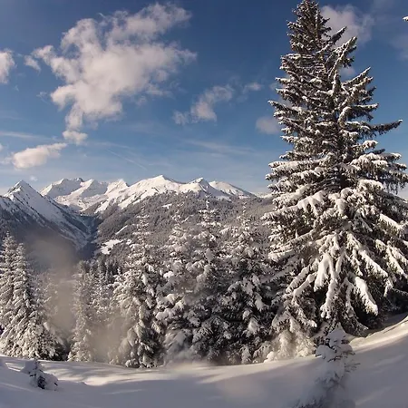 Alpenperle - Ruhige Auszeit Nahe Berwang Mit Bergblick Apartman *