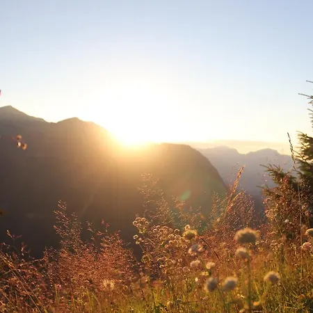 Alpenperle * Berwang