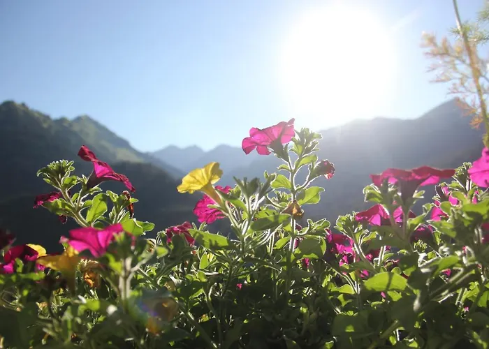 Appartamento Alpenperle