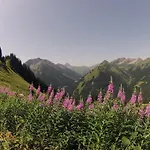 Alpenperle Apartment