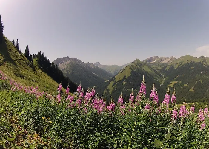 Alpenperle 아파트